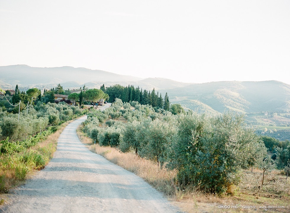 Axioo: A Sip of Brunello di Montalcino